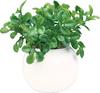 Fultac Photocatalytic Deodorizing and Mildew Resistant Faux Greenery In a Round Pot, Perfect for Interior Decoration, Artificial Greenery,