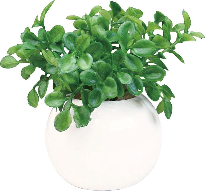 Fultac Photocatalytic Deodorizing and Mildew Resistant Faux Greenery In a Round Pot, Perfect for Interior Decoration, Artificial Greenery,