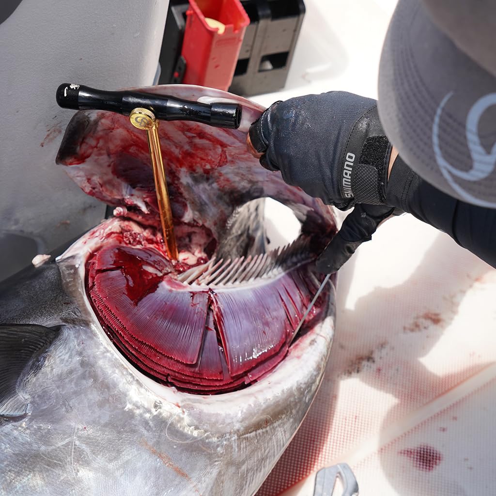 Belmont Fish Ippatsu Pro MP-166 Plektrum,