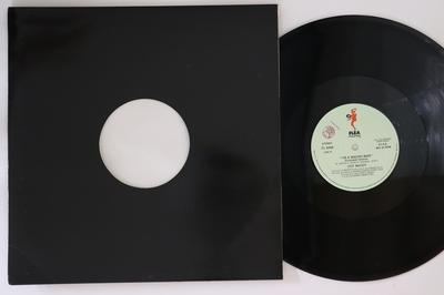 12-Zoll Schallplatte COY MC COY - I'm A Macho Man FL8498 FLEA 1991 Italien Dance & Electronica Gebraucht