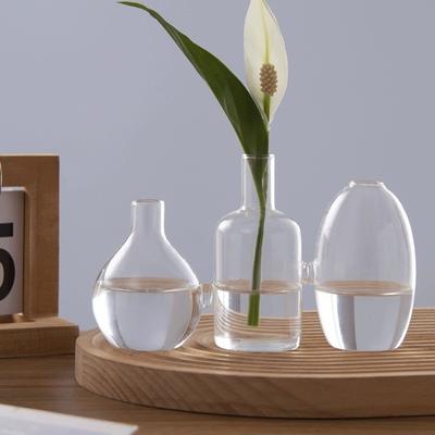 Transparent Glass Vase Triple Connected Floral Bottle Hydroponic Vase Flower Holder Minimalist Plant Terrarium