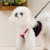 Sweet and cool spring and summer breathable and cool suspender two-legged vest teddy bear cat small dog dog pet clothes