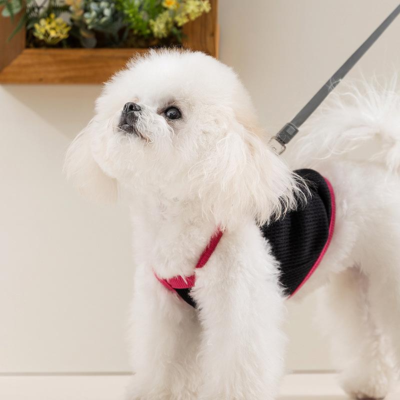 Sweet and cool spring and summer breathable and cool suspender two-legged vest teddy bear cat small dog dog pet clothes