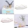 Three-dimensional Wrought Iron Storage Tray Nordic Minimalist Rose Gold Mirror Bottom Hexagonal Tray Home Decoration