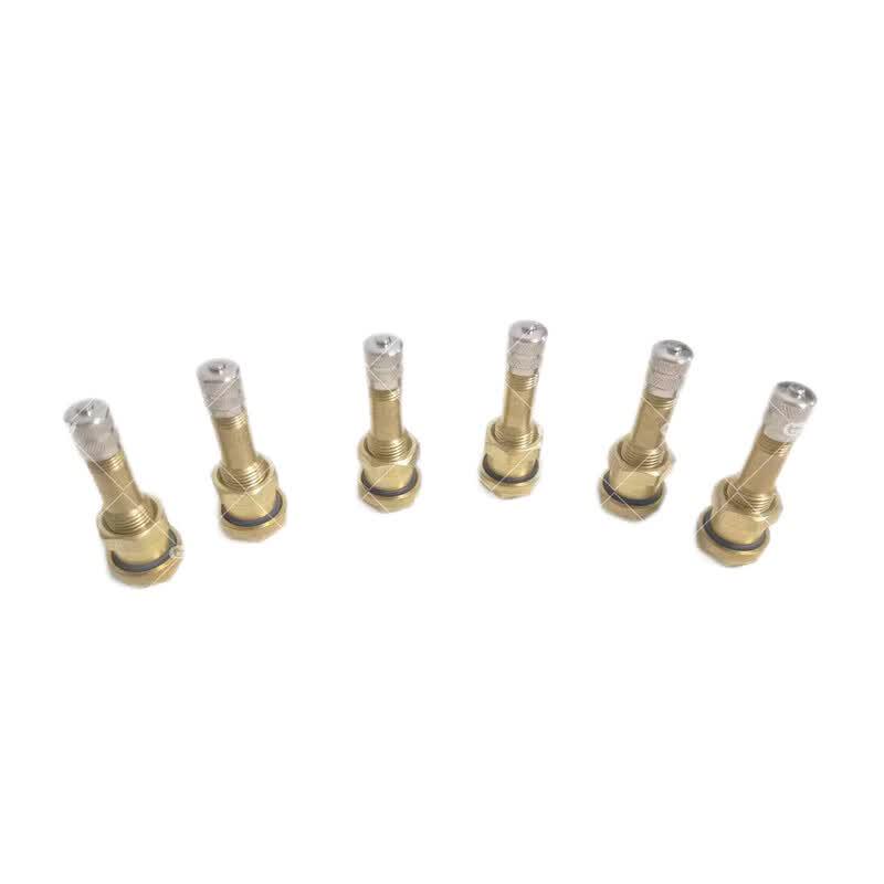 Dongfeng Mengshi EQ2050 Tire Valve Stem & Core