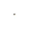 Japanese Shiba Inu Calendar 2026 (Wall Hanging) ([Calendar])