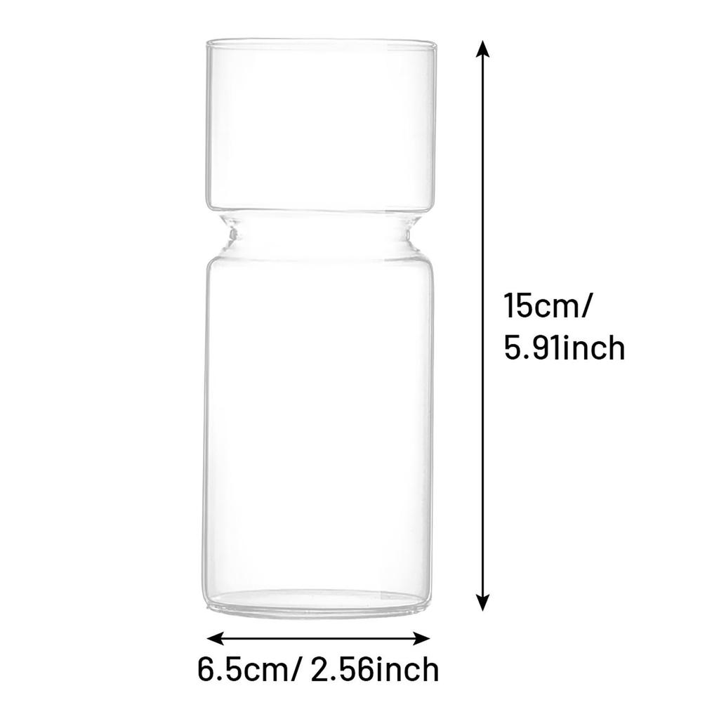 Clear Glass Flower Vase Hydroponic Plant Holder Container Bud Vase for Small Flowers