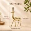 Brass Deer Statue | Height-8 Inch Aprrox. Vastu Idol for Home and Office