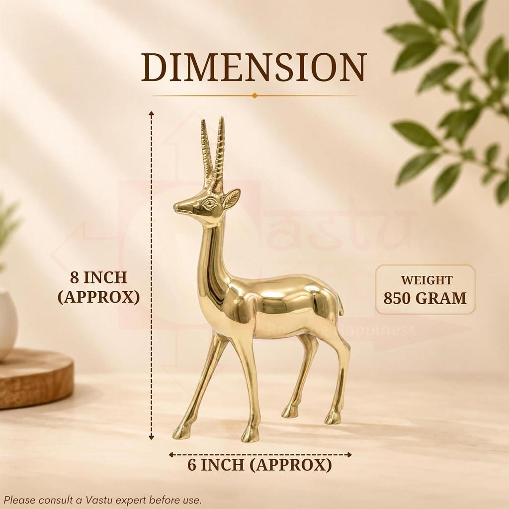 Brass Deer Statue | Height-8 Inch Aprrox. Vastu Idol for Home and Office