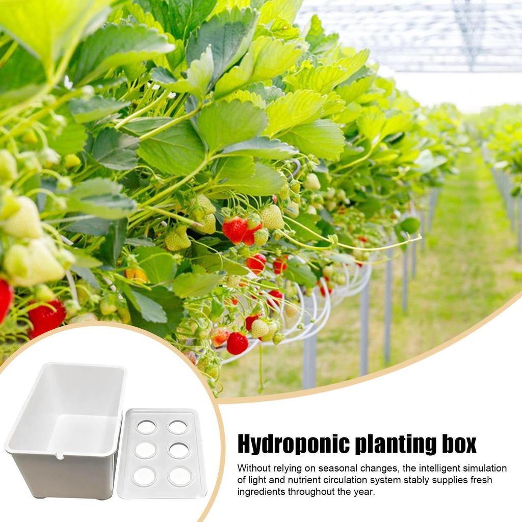 Hydroponiskt planteringskit för inomhusbruk Komplett planta-låda för att odla sallat, blommor på balkongen, i lägenheter & hotell