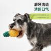 Squeaky Dog Toy Shape Freezable TPR Rubber Toy for