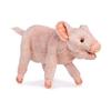 BH6290 HANSA Piglet 34