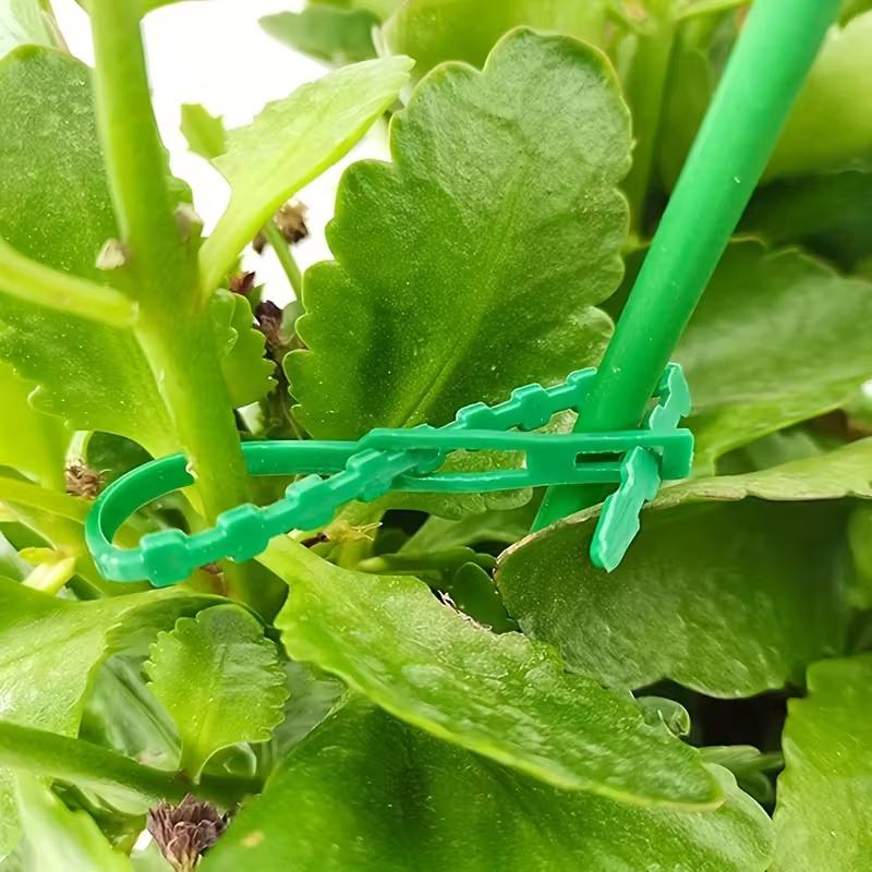Adjustable fishbone cable ties for bundling wires, garden tree and vine plant fixing, horticultural use, removable cable ties