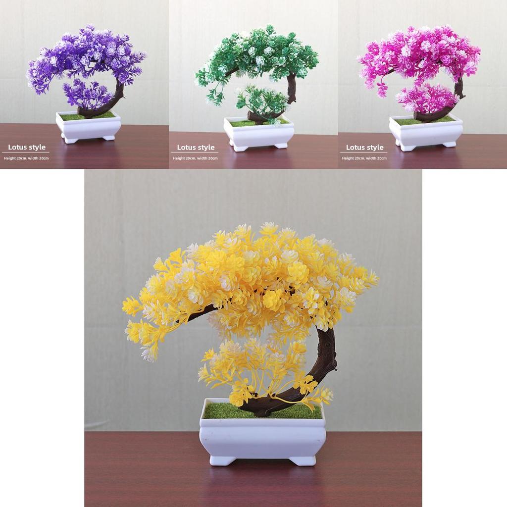 Plastic Bonsai Terrarium With Creative Design For Indoor Garden Display