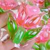 Antibacterial 5-in-1 Scented Laundry Pods with Fragrance Booster & Free Shipping