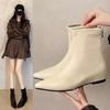 Korean Version of Pointed Short Tube Thin Boots Women's Boots Autumn and Winter New Models with Skirts French Thin Short Boots and Bare Boots
