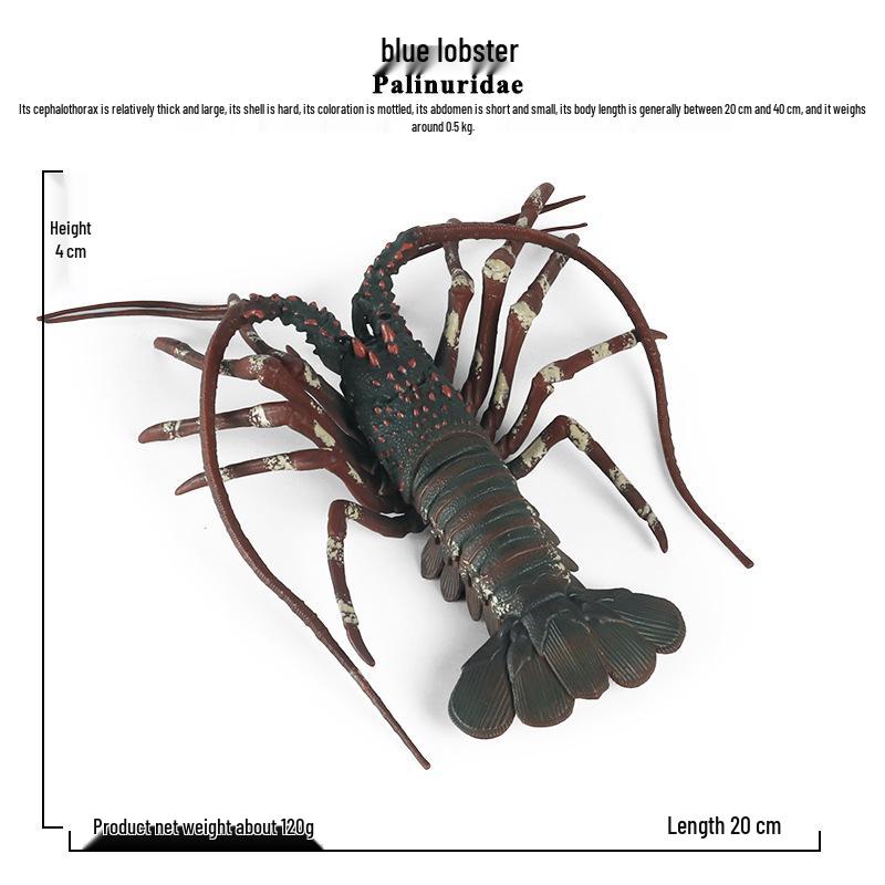 Children s Cognitive Marine Lobster Model Toy - Static Plastic Ornament