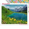 MomoArt Diamond Painting Blumen Vollrunde Bohrer Diamantmosaik Berg 5D DIY Kunst Perlenstickerei Landschaft Heimdekoration