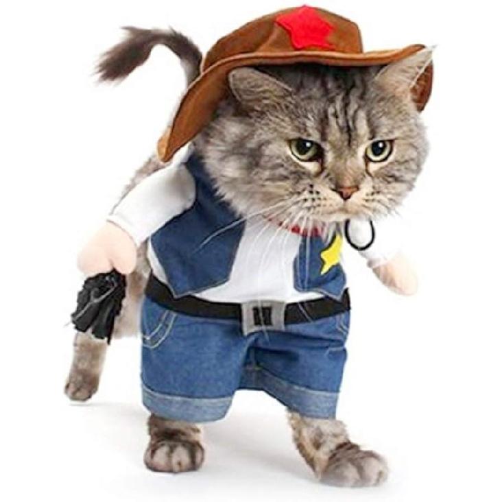 Halloween Cat Cowboy Costume Hat Funny Costume for Cats & Small Dogs M