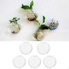 5 stück Blume Terrarium Hydrokultur Vase Kleine Decor Haken Wand Haken Pflanzer für Kaffee