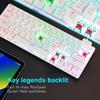 60 Percent Mechanical Gaming Keyboard Ergonomic Durable Detachable Type-C Cable Mini White Gaming Keyboard with Red Switches