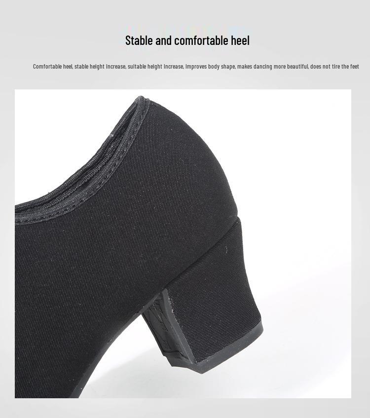 Women's Professional Latin Dance Shoes with Mid-High Heel and Soft Sole for Ballroom, Teacher Training, and Square Dancing.