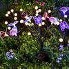 3 Heads Butterfly Stake Lights RGB Garden Floor Lamp Swaying Butterfly Lights  Wedding Courtyard