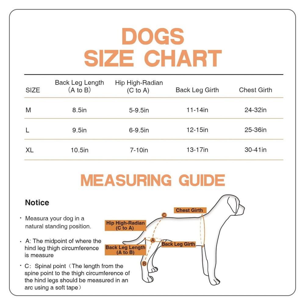 Pet Protector Dog Hindleg Double Protector Thigh Protector Postoperative Auxiliary Leg Cover Adjustable Metal Support