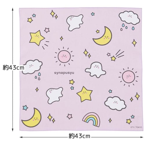 Skater Children's Lunch Box Lunch Cloth 43 X 43cm Kids Made In Japan Shinapushu Girls KB4