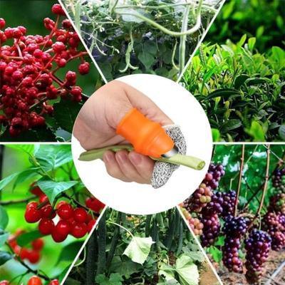 Bahçe Aletleri – Meyve toplama aparatı
