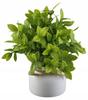 Sztuczna Roślina W Doniczce 20cm Dekoracyjna, Zielona Do Domu I Biura