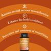 B-complex vitamin capsules, B-complex nutrition, adult dietary supplements, suitable for both men and women.