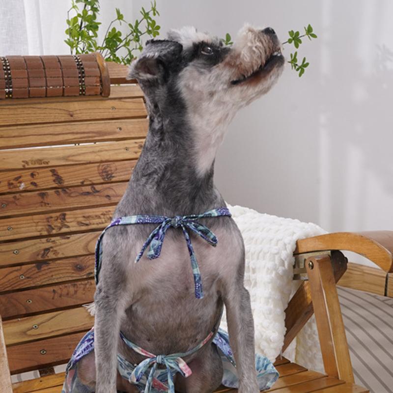 Strand Haustier Bikini Badeanzug Set für Kleine Hunde Leopardenmuster Riemen Sommer Welpen Hund Kleidung Rock Schnauzer Mops mascotas Bademode