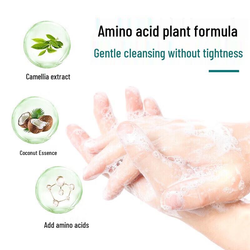 Shuguoyuan Tea Scent Bubble Hand Wash