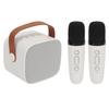 P2 Mini Karaoke Machine Portable Bluetooth Speaker with Wireless Microphone for Adults Kids White