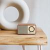 SANGEAN FM Radio Compatible Bluetooth Speaker, Cherry, WR-301 [Bluetooth Compatible]
