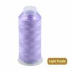 Filo per Nappe Fai-da-te 150D/2 Fili Singoli Filo da Ricamo in Poliestere Filo da Cucito per Ricamo Forniture per Cucito Fai-da-te Tessili