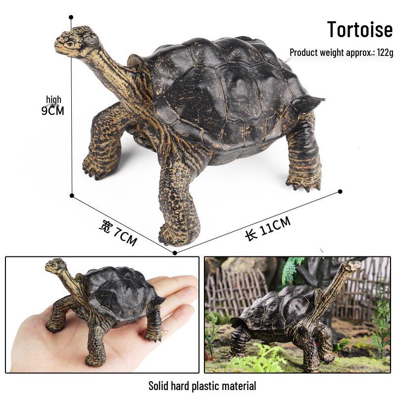 Children's Cognitive Marine Animal Models: Sea Turtle and Tortoise Toys