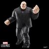 [Amazon.co.jp Exclusive] Hasbro Marvel Legends Series Gamerverse Kingpin and Spider-Man Video Game Collectible 20cm Action Figure G0827 Authentic
