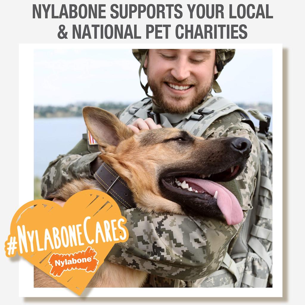 Nylabone Bend Bone [Used]