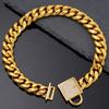 14mm Wide Gold Dog Leash and Titanium Steel Collar with Paved Diamond Buckle