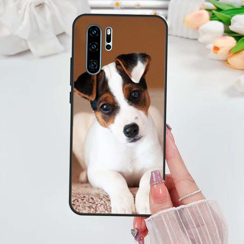Jack Russell Terrier Dog Case For Huawei Nova 5T 3i 7i 8i 11i 10 9 SE Y60 Y61 Y70 Y90 P20 P40 Lite P60 P30 Pro Cover