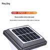 Solar Outdoor Garden Lawn Light