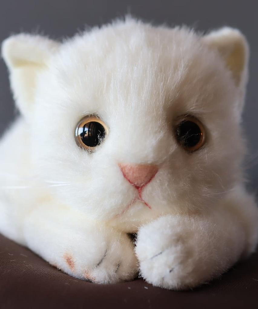 Childish tag with ribbon, made in Japan, realistic cat plush toy, 58cm (white cat L, eyes open), realistic cat, birthday, gift, present, celebration