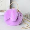 Plush rabbit bag female oblique cross Korean version cute portable fluffy bag autumn and winter new rabbit ear clip bag clip bag