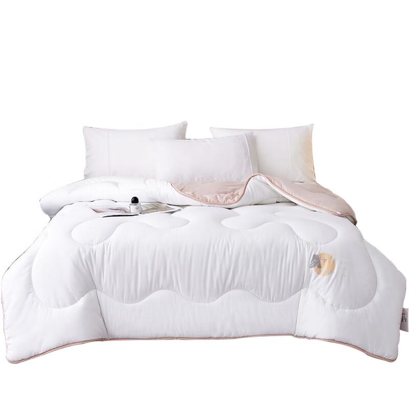 

Dohia Warm Velvet Cloud All-Season Comforter