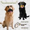 Self-Adhesive Mustache & Eyebrows Set for Pets Funny Cute Dog & Cat Cosplay Costume Accessories Beard Moustache Decorations