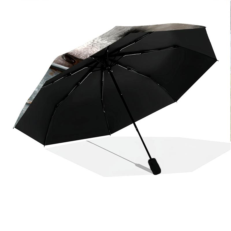 Fantasia panda e erba, ombrello pieghevole automatico, design portatile e pieghevole, 8 stecche, un regalo di Natale o di compleanno.