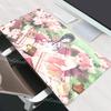 Accesorii pentru calculatoare – Mouse pad-uri și suporturi mână