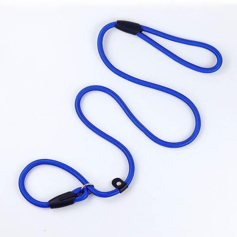 Universal Buckle Dog Leash for Medium & Large Dogs - P Chain Collar